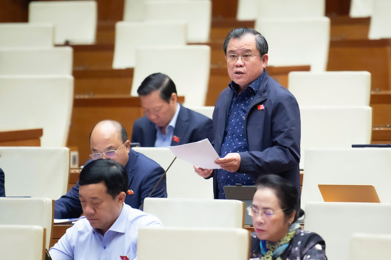 Đại biểu Nguyễn Tâm Hùng - đoàn TP Hồ Chí Minh.