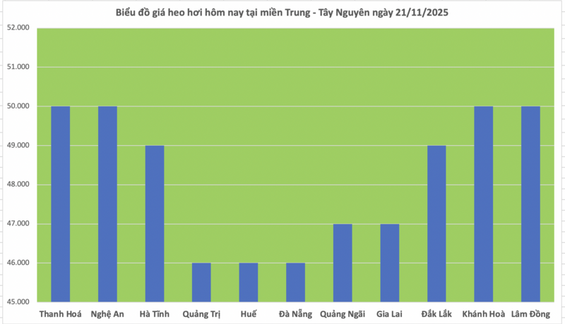 Giá heo hơi hôm nay 21/11/2025: Tăng mạnh, miền Bắc lập đỉnh - 2
