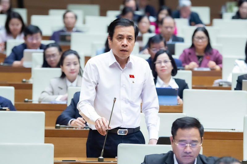 Đại biểu Trần Anh Tuấn - đoàn TP. Hồ Chí Minh