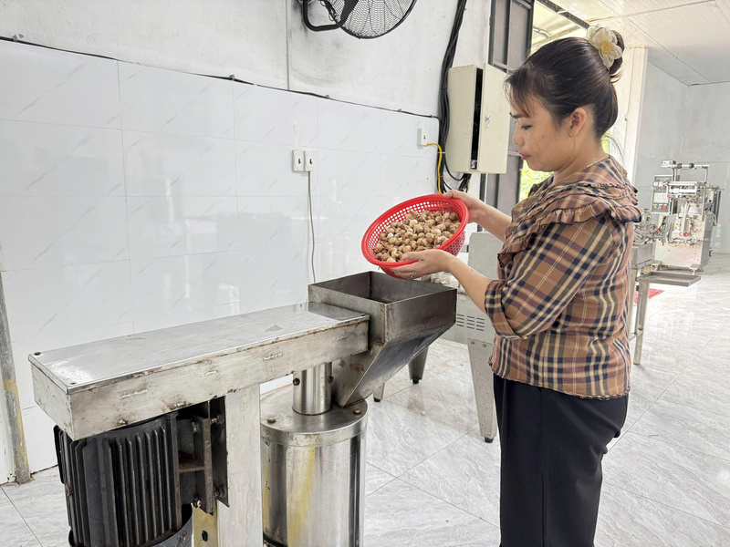 Ứng dụng khoa học công nghệ giúp các sản phẩm của tỏi Lý Sơn đa dạng hơn trước rất nhiều