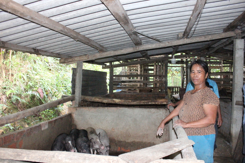 Gia đình bà A Viết Thị Bích thoát nghèo nhờ phát huy hiệu quả nguồn vốn vay tín dụng xã hội