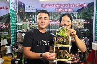 Nhờ chú trọng phát triển các sản phẩm OCOP, các hợp tác xã đã góp phần thúc đẩy phát triển sản vật của địa phương