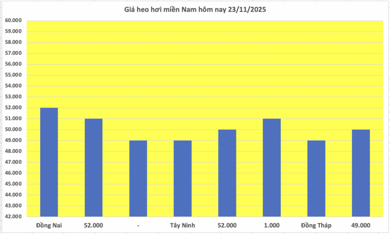 Grisepris i dag 23. november 2025: Forankret på et høyt nivå - 3