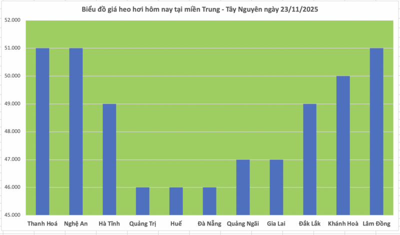 Grisepris i dag 23. november 2025: Forankret på et høyt nivå - 2