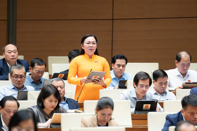 Đại biểu Lý Anh Thư - đoàn An Giang