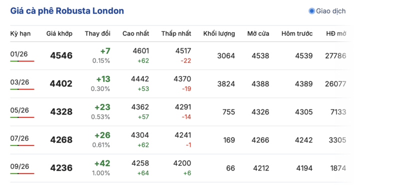 Giá cà phê hôm nay 29/11/2025: Tăng nhẹ 500 đồng/kg - 1