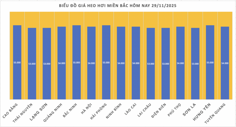 Preço do porco hoje, 29 de novembro de 2025: Aumentou em todas as 3 regiões - 1