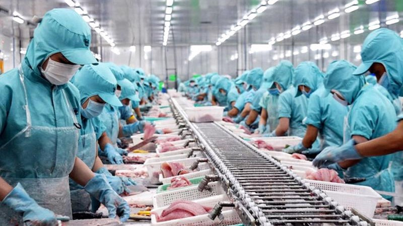 Doanh nghiệp Việt hưởng lợi từ các hiệp định thương mại tự do giữa hai nước và khu vực. Ảnh minh hoạ