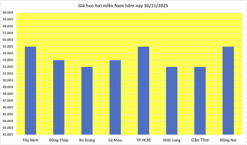 ราคาหมูวันนี้ 30 พฤศจิกายน 2568 : 3 ภูมิภาค สงบ - ​​3