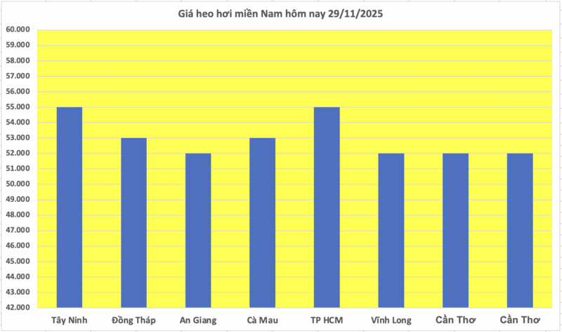 Preço do porco hoje, 29 de novembro de 2025: Aumentou em todas as 3 regiões - 3