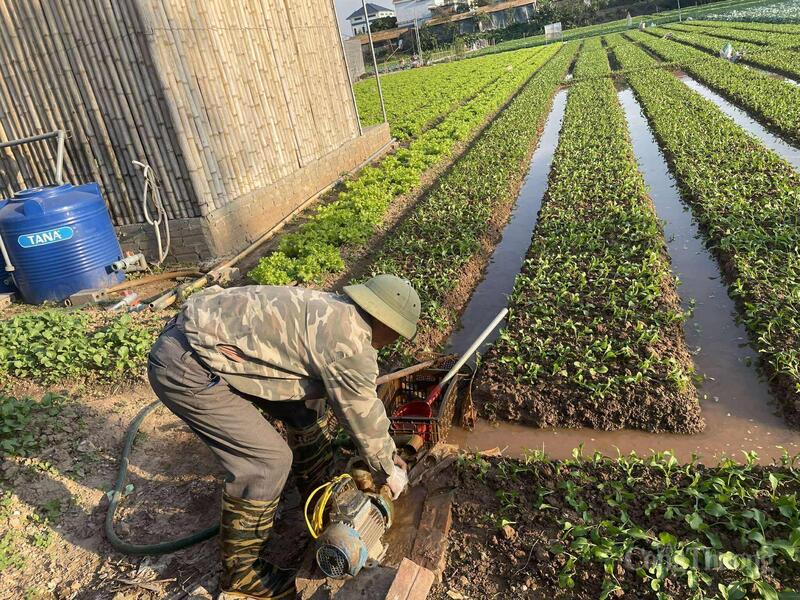 Volgens de vertegenwoordiger van de coöperatie is een stabiele waterbron een essentiële voorwaarde voor een duurzame groenteteelt.