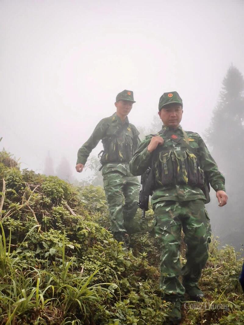 Trong năm 2025, Đồn Biên phòng Dào San đã tổ chức 40 lượt tuần tra đường biên, với 280 lượt cán bộ, chiến sĩ và dân quân tham gia.