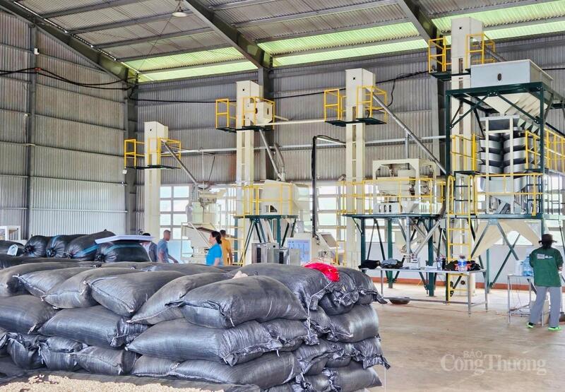 Exportomsättningen i november uppgick till 210,2 miljoner USD, vilket innebär att det totala värdet på 11 månader uppgår till 3,2 miljarder USD. Foto: Hien Mai.