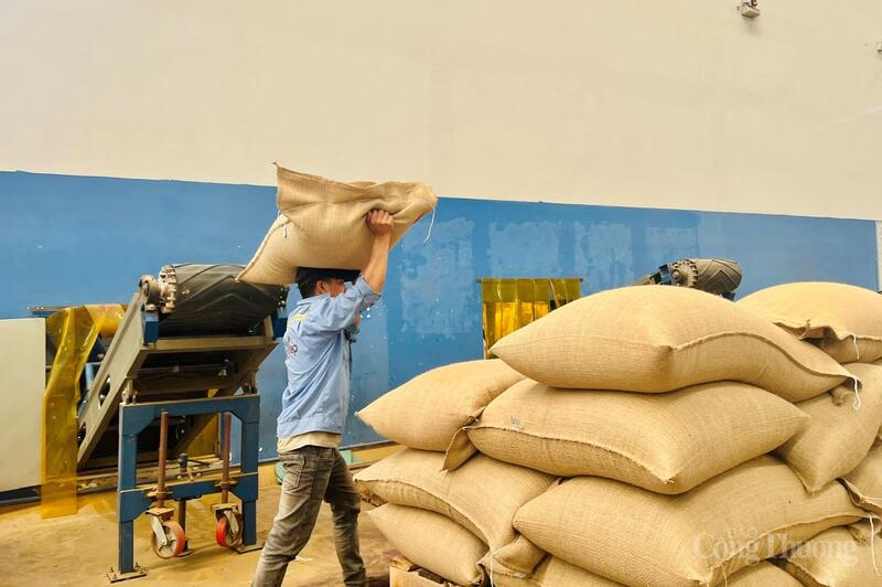 Indexet för industriproduktion (IIP) i november 2025 beräknas öka med 4,67 % under samma period; den totala ökningen på 11 månader är 9,32 %. Foto: Hien Mai.