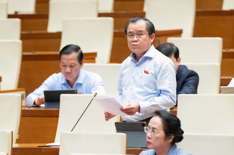 Đại biểu Nguyễn Tâm Hùng - đoàn TP. Hồ Chí Minh.