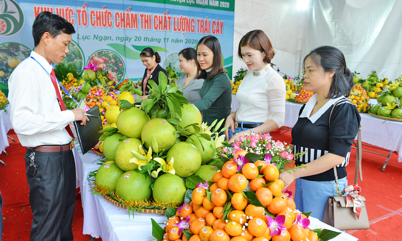 Muitas especialidades regionais serão apresentadas aos moradores locais e aos turistas. Foto: Bao Lam - Jornal Bac Ninh