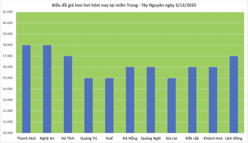 Τιμή χοίρου σήμερα 3 Δεκεμβρίου 2025: Απότομη αύξηση στα 4.000 VND/kg - 2