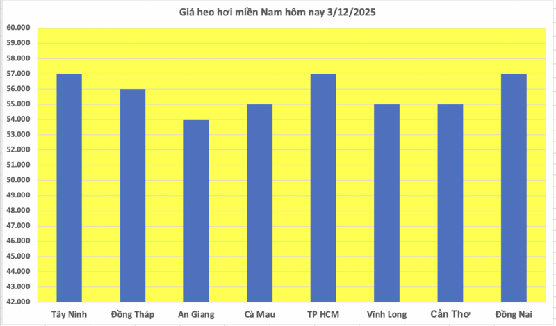 Τιμή χοίρου σήμερα 3 Δεκεμβρίου 2025: Απότομη αύξηση στα 4.000 VND/kg - 3