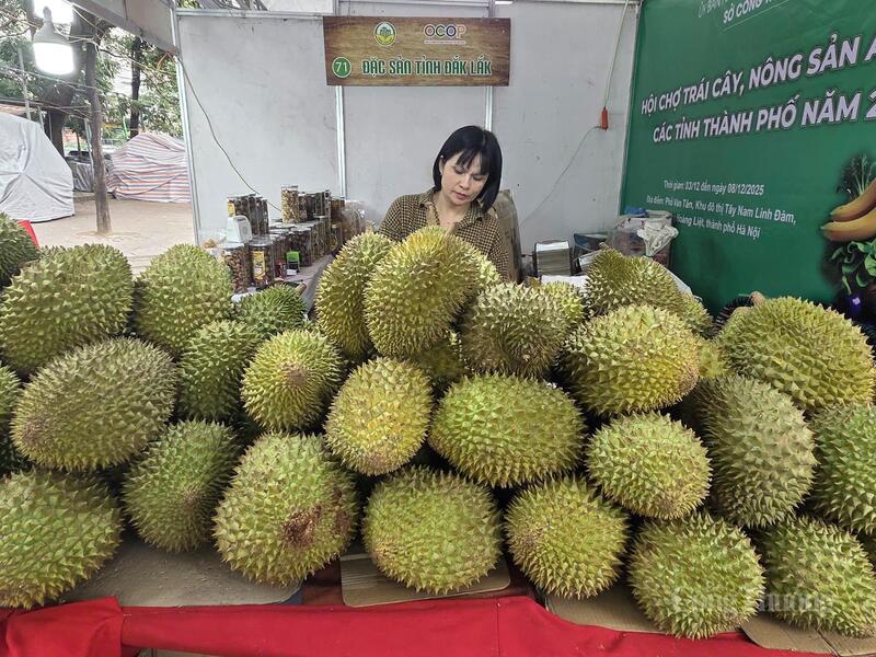 Nguyễn Lê Hoàng Yến ở Đắk Lắk với sản phẩm sầu riêng.