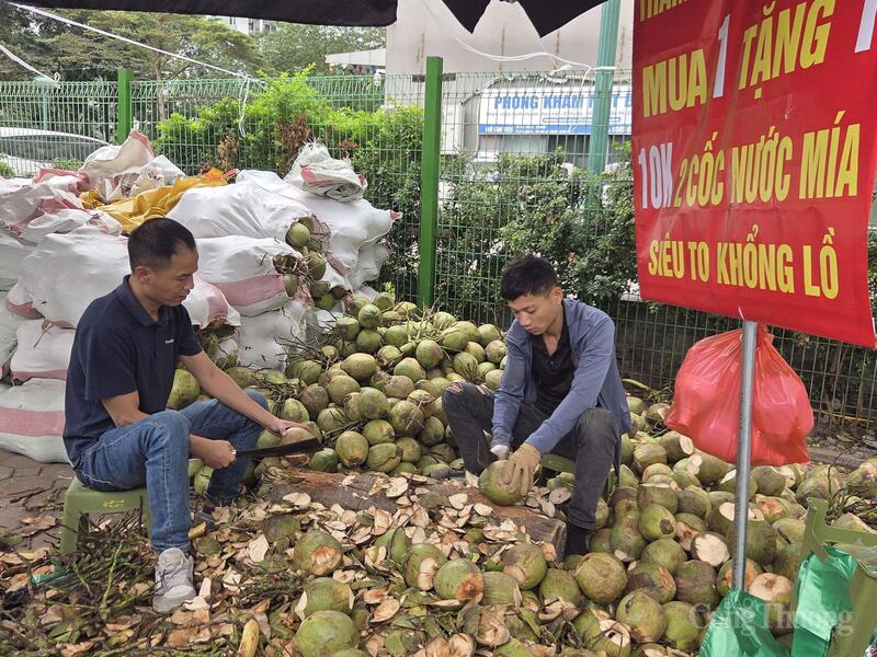 Dừa Bến Tre cũng có mặt tại hội chợ.
