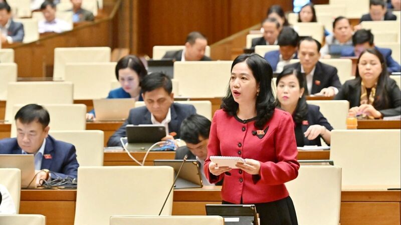 Đại biểu Điểu Huỳnh Sang (đoàn Đồng Nai). Ảnh: QH