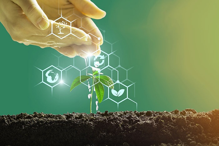 Chế phẩm sinh học thực chất là tập hợp các vi sinh vật hữu ích có khả năng thúc đẩy quá trình phân hủy nhanh chất hữu cơ.  (Nguồn ảnh: Zadco)