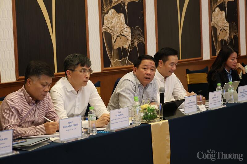 De plaatsvervangend directeur van het ministerie van Olie, Gas en Kolen (Ministerie van Industrie en Handel), Tran Thanh Tung, leidde de conferentie.