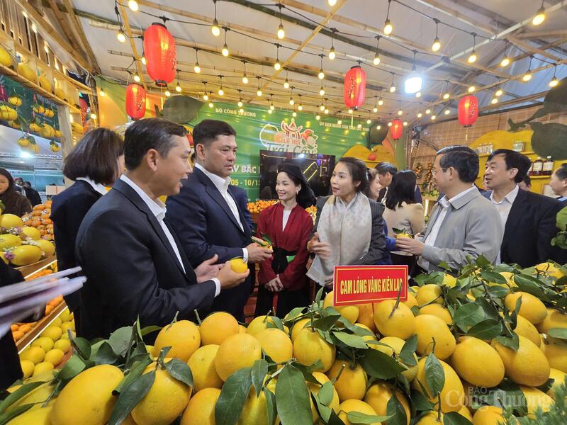 Lãnh đạo tỉnh Bắc Ninh thăm các gian hàng tại lễ hội.