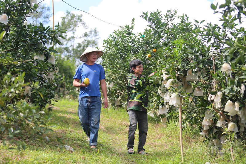 Đặc sản Hà Tĩnh và cơ hội 'gõ cửa' thị trường số - Bài 1: Tinh hoa gắn liền thương hiệu - 1