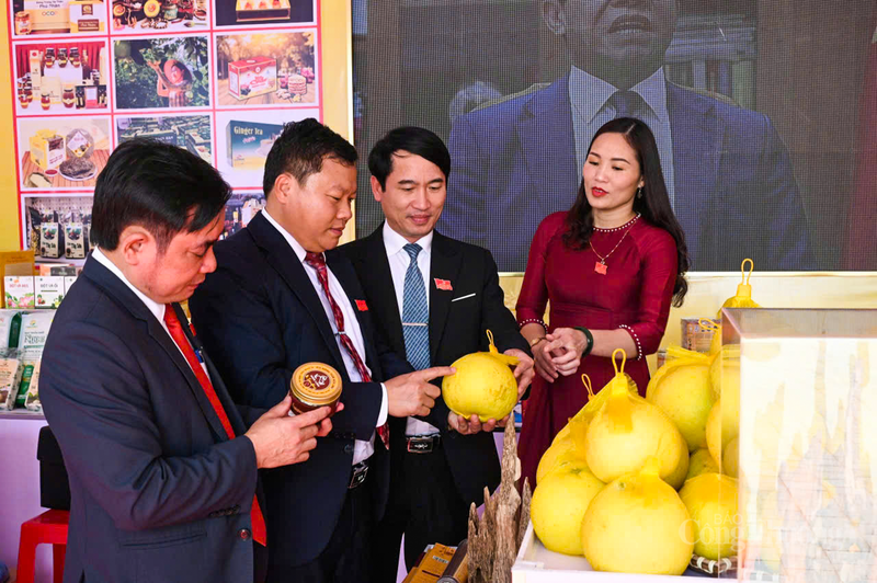 Việc xây dựng thương hiệu cho Bưởi Phúc Trạch tập trung vào việc kiểm soát nghiêm ngặt quy trình trồng trọt theo tiêu chuẩn VietGAP.