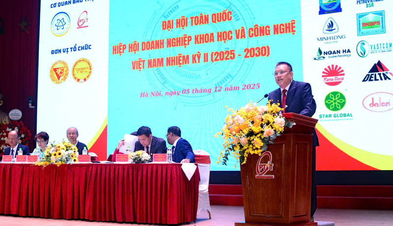 GS.TS Hoàng Đức Thảo, Chủ tịch VST