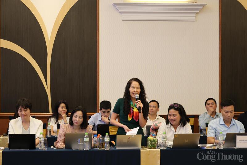 Tijdens de conferentie gaven afgevaardigden commentaar en werd de inhoud van de gewijzigde Petroleumwet ter vervanging van Petroleumwet nr. 12/2022/QH15 besproken.