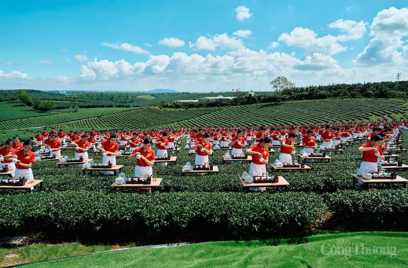 Lễ hội đánh dấu bước chuyển quan trọng trong nỗ lực quảng bá văn hóa trà Việt và thúc đẩy ngành trà vươn ra thế giới.