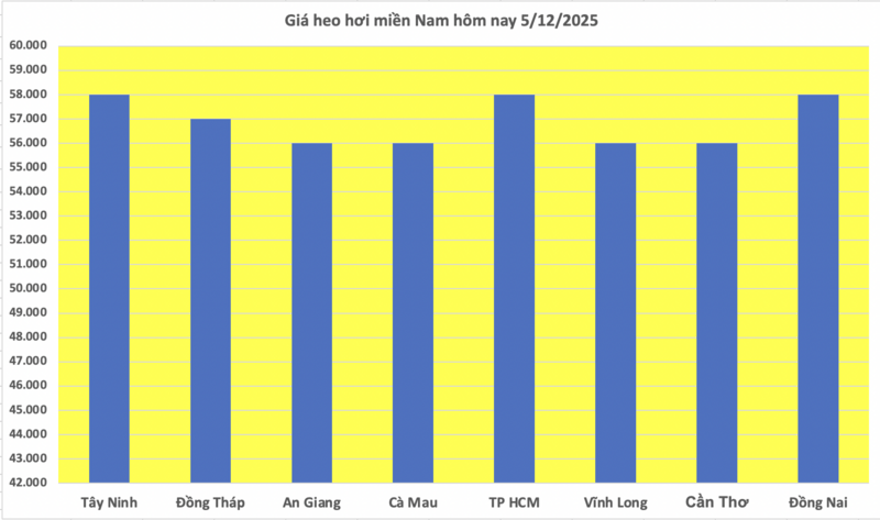 Cena prasat dnes 5. prosince 2025: Pokračování v nastavování nového maxima - 3