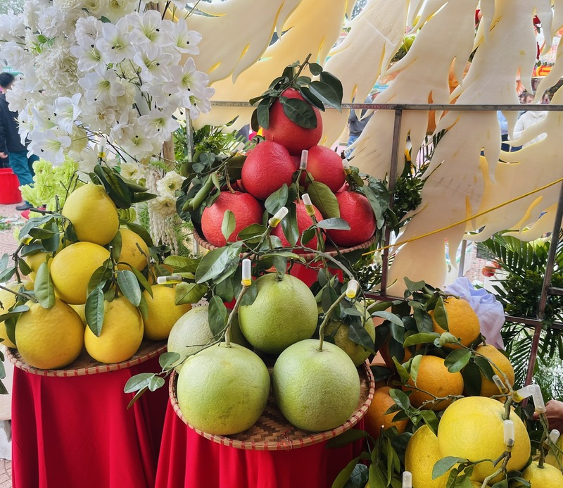 Các sản phẩm bưởi tiến Vua được trưng bày tại hội chợ. Ảnh: Nguyễn Hương