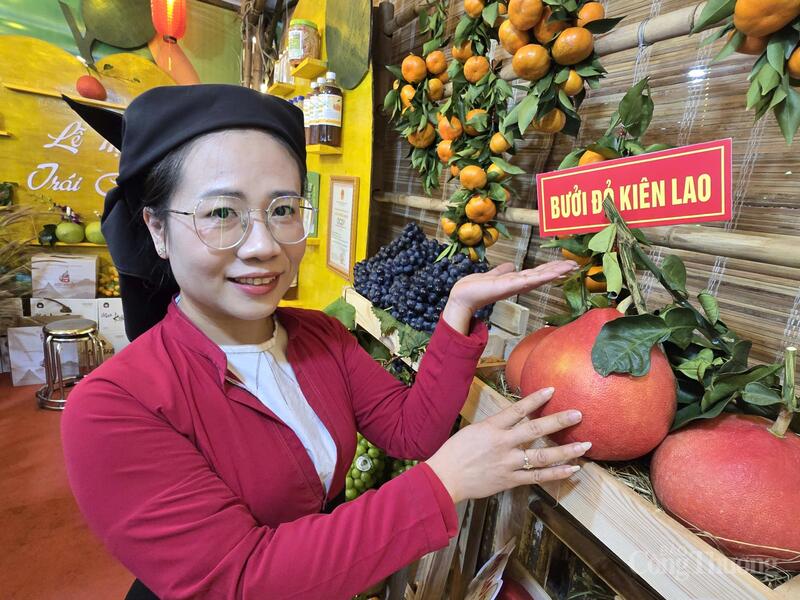 Những trái cây đặc sản được ứng dụng công nghệ cao trong trồng và chăm sóc của Bắc Ninh giới thiệu tại lễ hội.