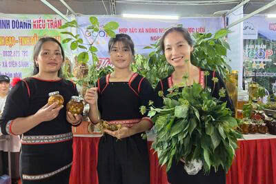 Những sản phẩm OCOP từ sản vật địa phương đang được nâng tầm về chất lượng, từng bước thúc đẩy phát triển kinh tế vùng nông thôn một cách bền vững