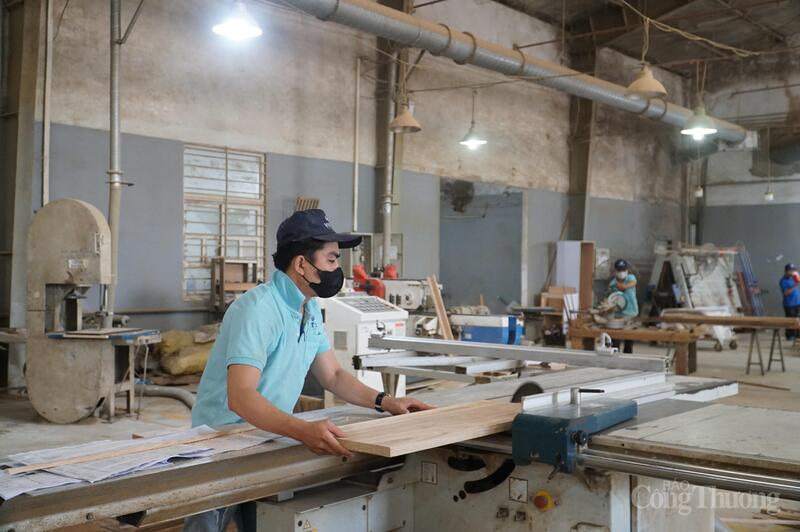 Es necesario emitir circulares que orienten la implementación del Decreto 235 de manera rápida y sincrónica.