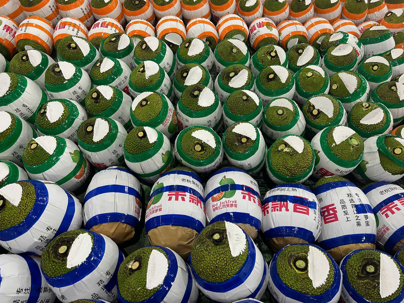 Le jacquier est étiqueté avant l'exportation. Photo : Quoc Tin Company