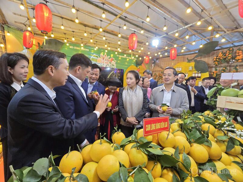 Bắc Ninh coi chất lượng là tiêu chí cốt lõi để xây dựng thương hiệu cho trái cây, nông sản địa phương. Ảnh: Thu Hường