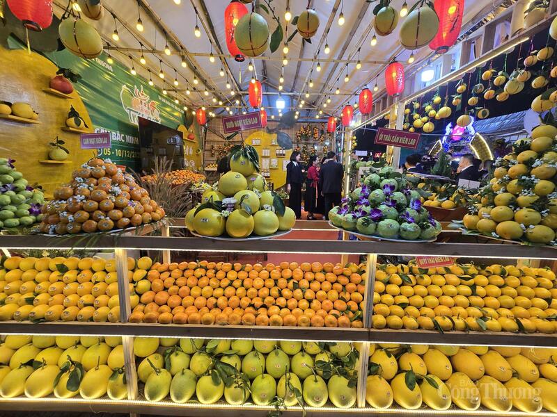 Lễ hội trái cây Bắc Ninh 2025 rực rỡ trong sắc vàng. Ảnh: Thu Hường