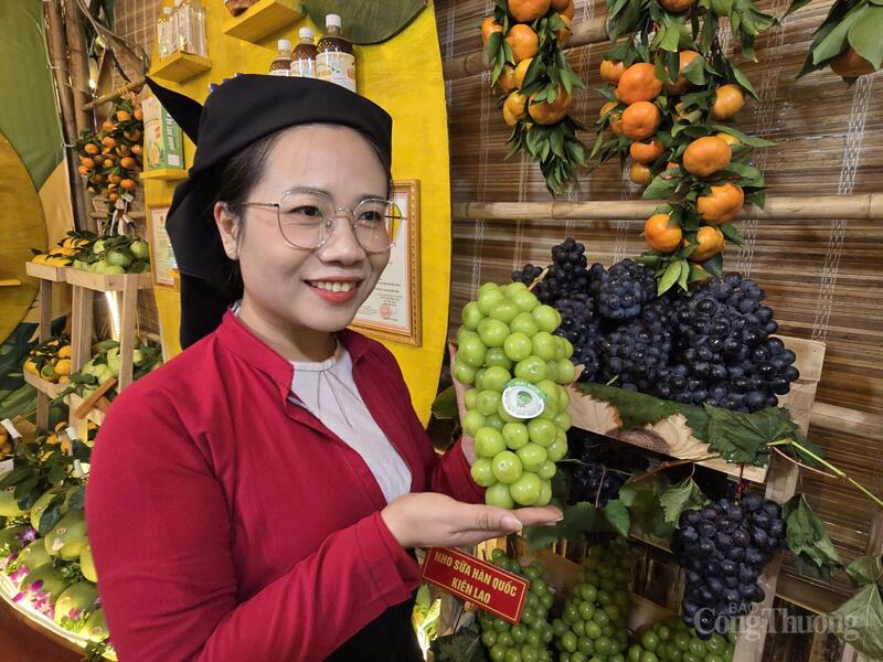 Những trái nho sữa của xã Kiên Lao giờ đây đã được người tiêu dùng trong nước biết đến. Ảnh: Thu Hường