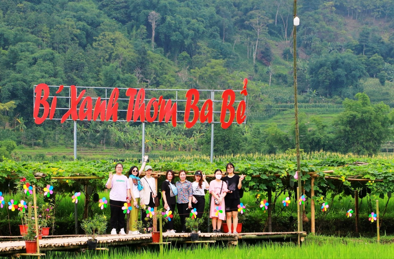 Du khách tham quan mô hình bí xanh thơm Ba Bể, nơi kết hợp sản xuất nông nghiệp với phát triển du lịch trải nghiệm.