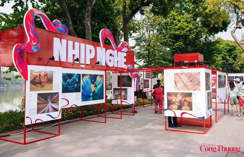 Những khung ảnh khổ lớn được chiếu sáng tinh tế, tạo nên “con đường thị giác” sống động giữa mảng xanh cổ thụ của phố đi bộ.