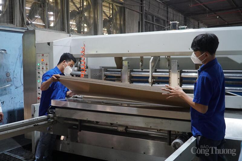 Công ty giấy bao bì carton Hòa Bình giảm được 10 tấn phế phẩm mỗi năm từ việc đầu tư máy móc sản xuất sạch hơn có "trợ lực" của chương trình khuyến công.