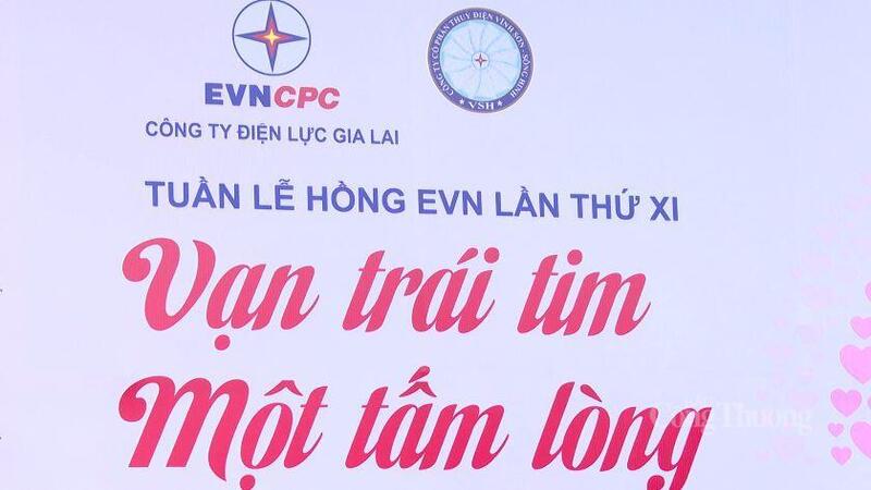 Chương trình nằm trong khuôn khổ Tuần lễ hồng EVN lần thứ XI với thông điệp “Vạn trái tim - Một tấm lòng”.