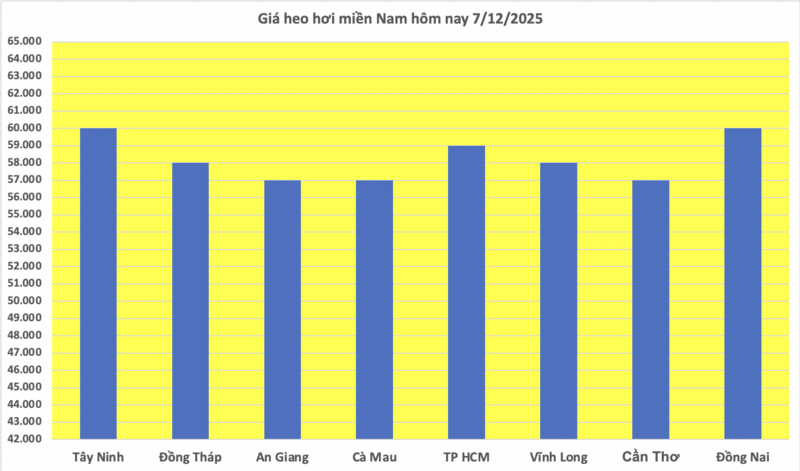 Giá heo hơi hôm nay 7/12/2025: Tạm chững lại - 3
