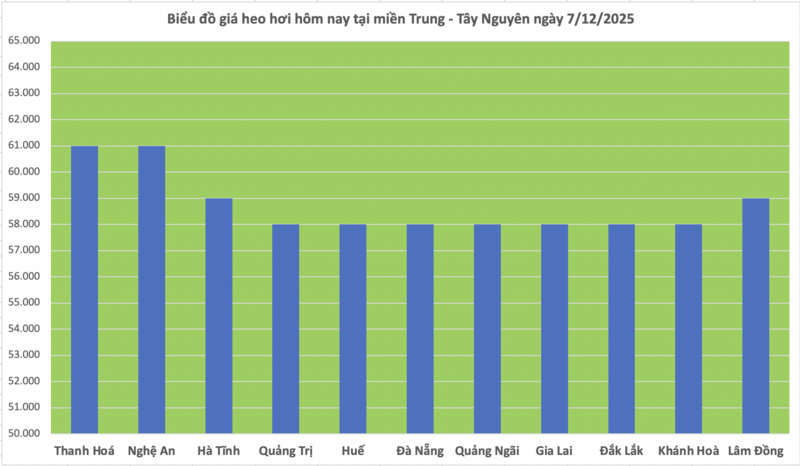 Giá heo hơi hôm nay 7/12/2025: Tạm chững lại - 2