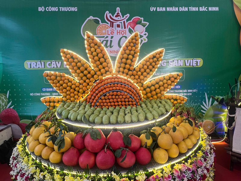 Nhiều sản phẩm trái cây đặc trưng tỉnh Bắc Ninh được giới thiệu tại hội chợ. Ảnh: Thanh Thảo