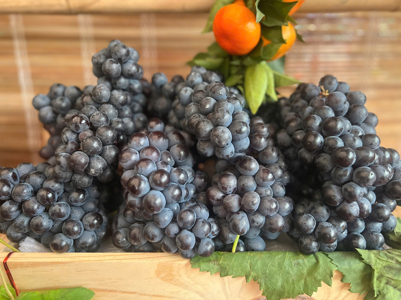 Sản phẩm nho hạ đen là sản phẩm được ưa chuộng tại lễ hội năm nay. Ảnh: Thanh Thảo